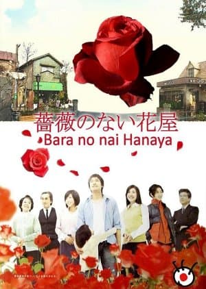 Flower Shop Without Rose