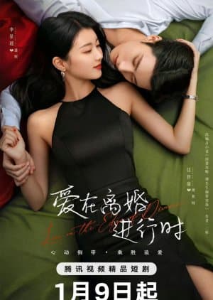 Love in the Edge of Divorce