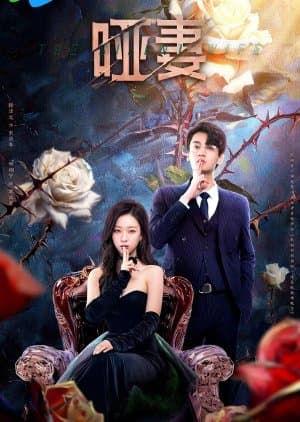 The Silent Wife