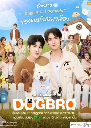 DogBro